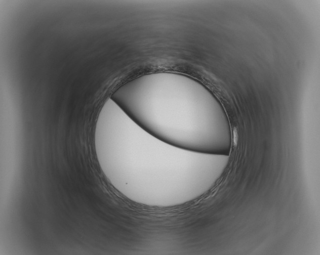 X0000112721155200908200941