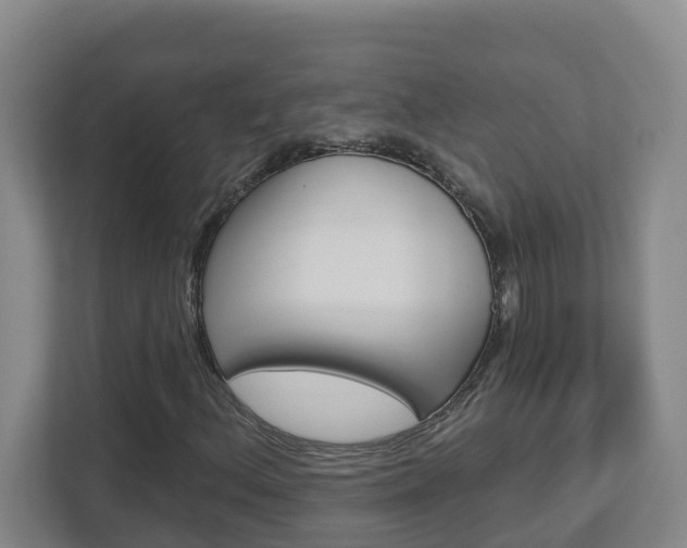 X0000112721156200908200941