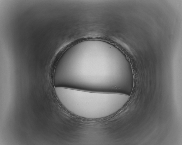 X0000112721160200908200941