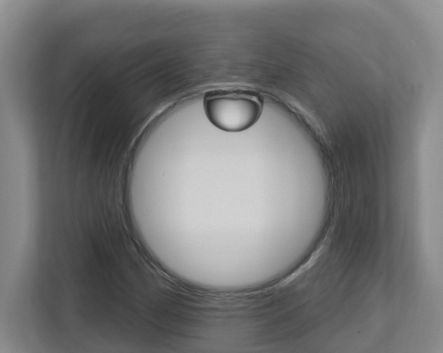 X0000112721162200908200941