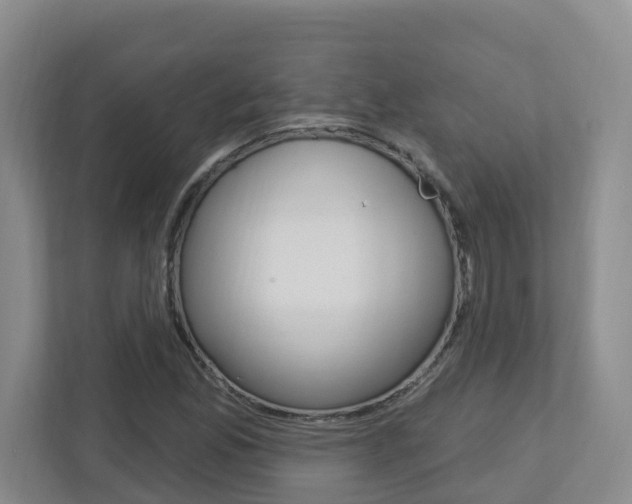 X0000112721165200908200941