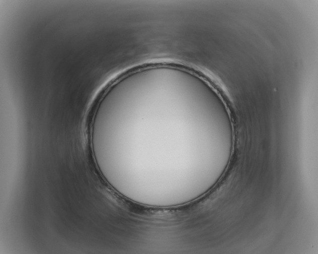 X0000112721167200908200941