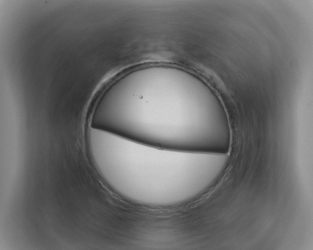 X0000112721168200908200941