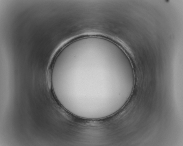 X0000112721175200908200940