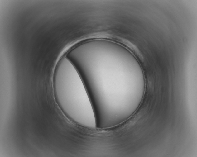 X0000112721176200908200940