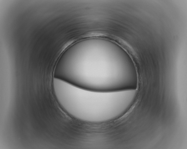 X0000112721177200908200940