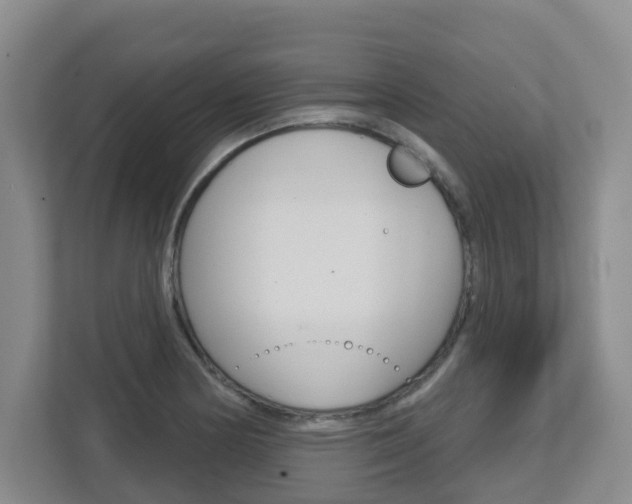 X0000112721178200908200940
