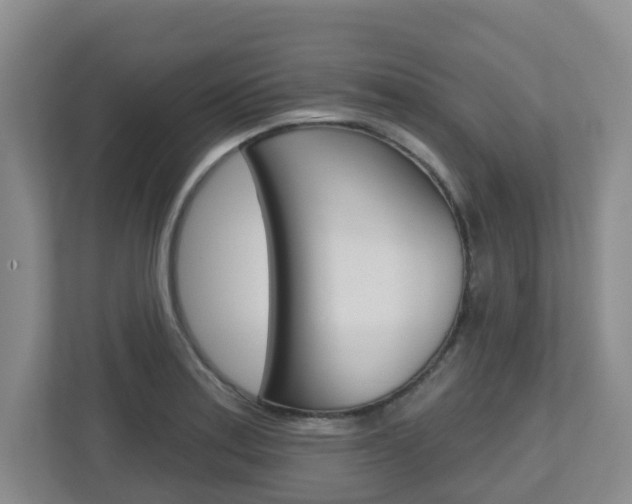 X0000112721179200908200940