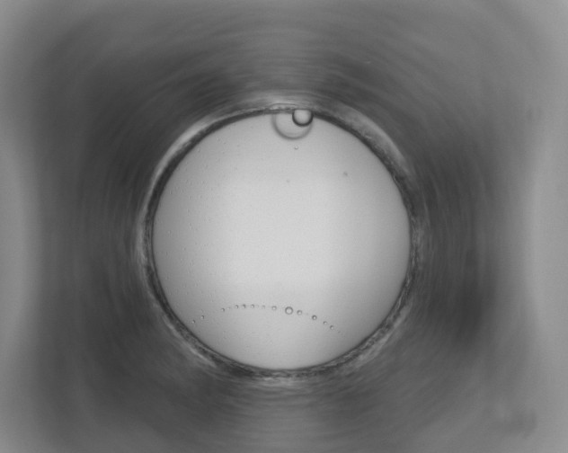 X0000112721182200908200940