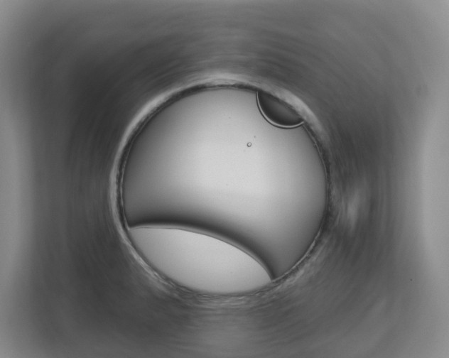 X0000112721183200908200940