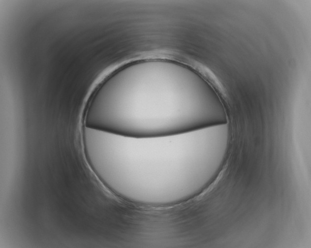 X0000112721184200908200940