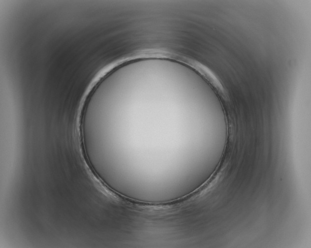 X0000112721192200908200940