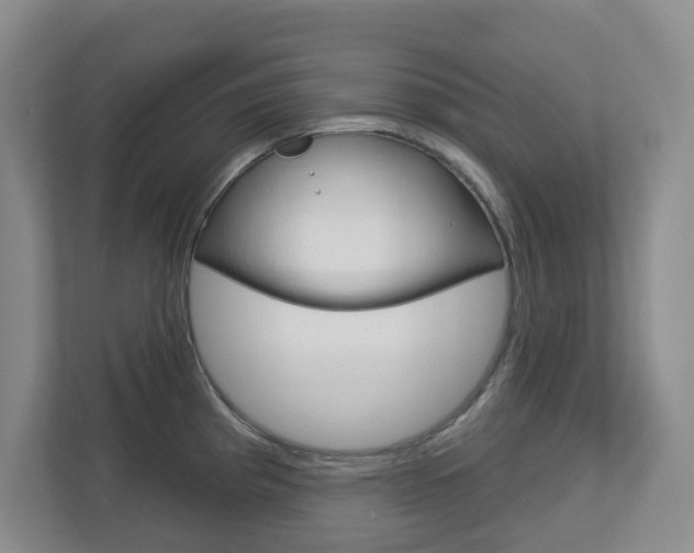 X0000112721193200908200940
