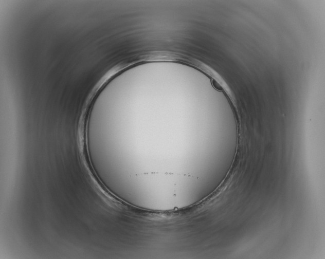X0000112721195200908200940