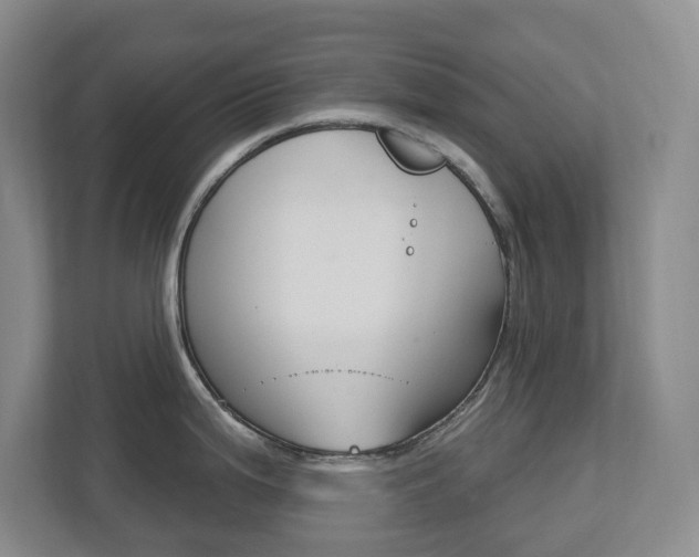 X0000112721199200908200940