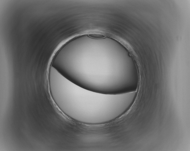 X0000112721200200908200940