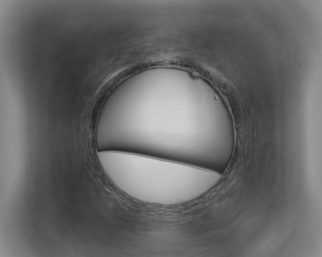 X0000112721206200908200940