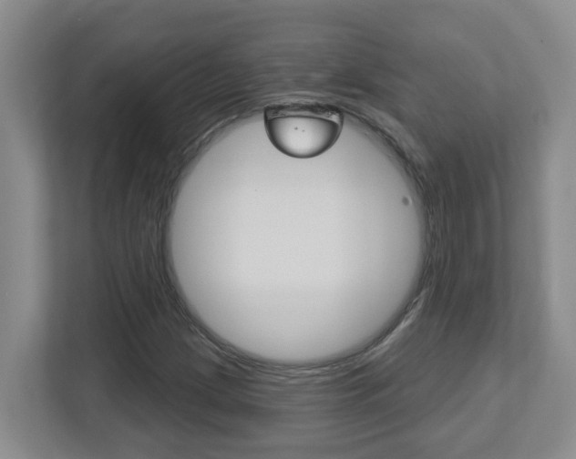 X0000112721209200908200940