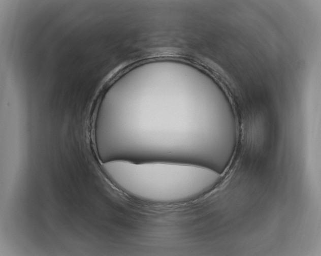 X0000112721212200908200940