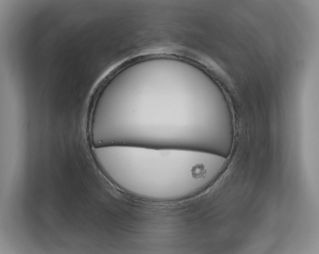 X0000112721216200908200940