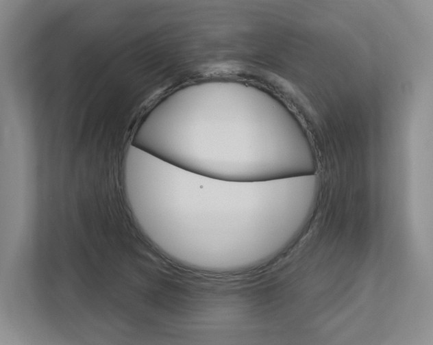 X0000112721217200908200940