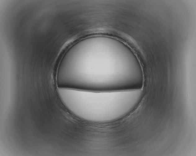 X0000112721218200908200940