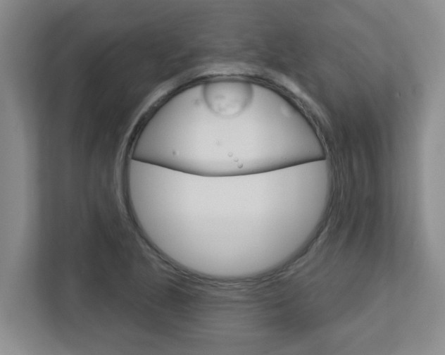 X0000112721221200908200940