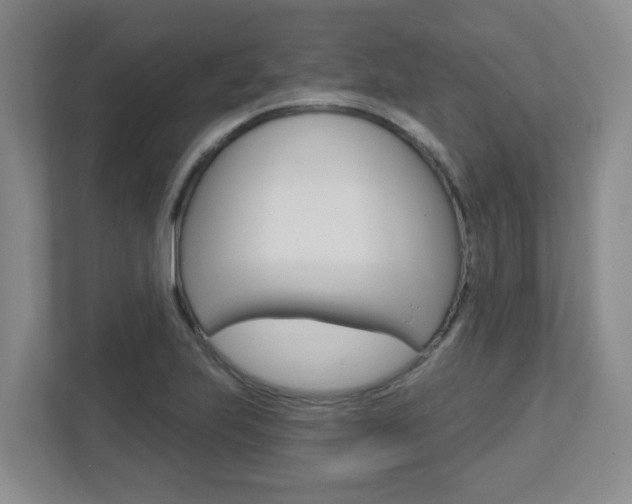 X0000112721223200908200940