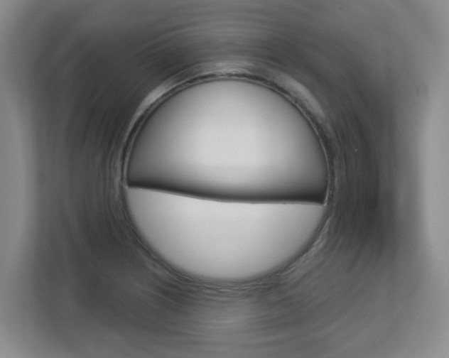 X0000112721226200908200940