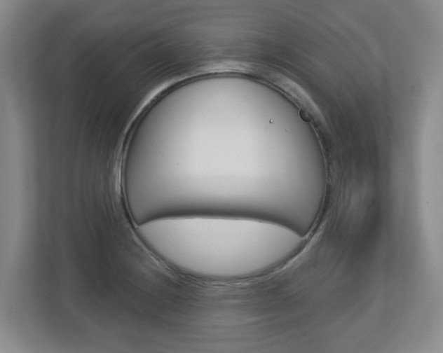 X0000112721228200908200940
