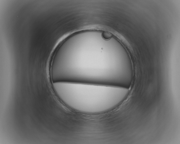 X0000112721230200908200940