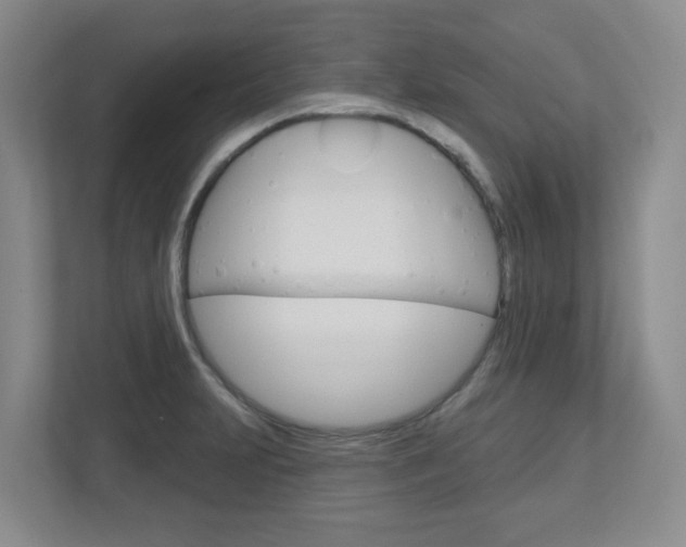 X0000112721231200908200940