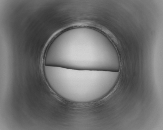 X0000112721232200908200940
