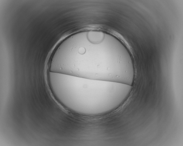 X0000112721235200908200940