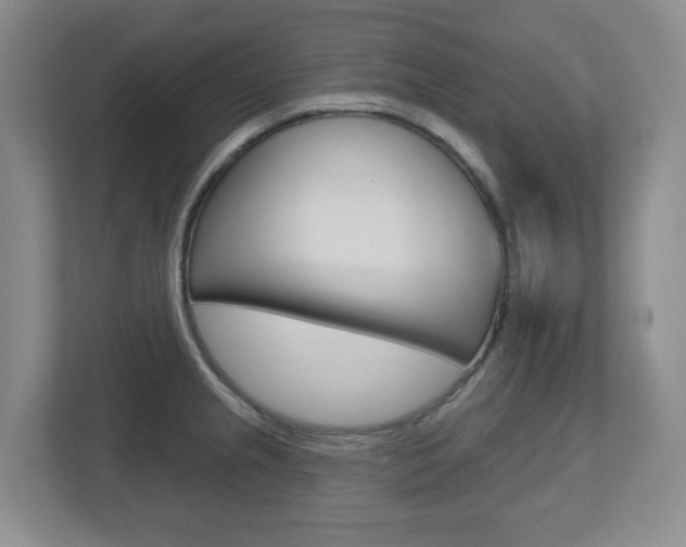 X0000112721237200908200940