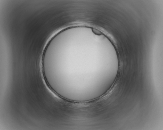 X0000112721239200908200940