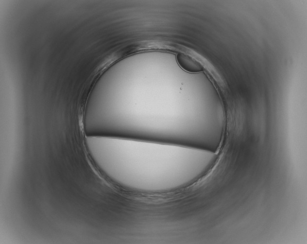 X0000112721241200908200940