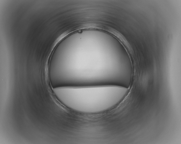 X0000112721242200908200940