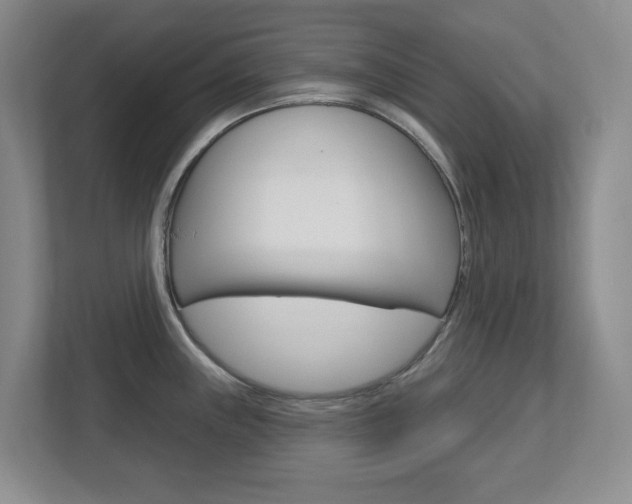 X0000112721243200908200940