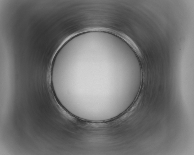 X0000112721244200908200940