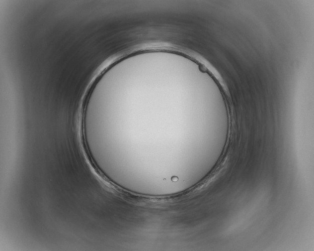 X0000112721245200908200940