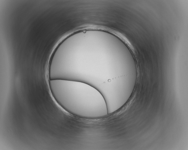 X0000112721247200908200940