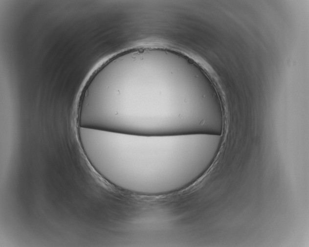 X0000112721248200908200940