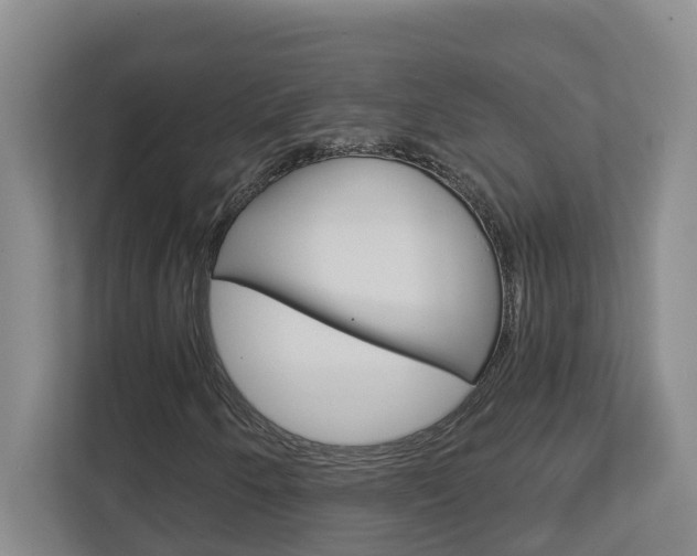 X0000112721250200908200939