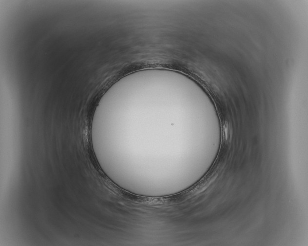 X0000112721251200908200939