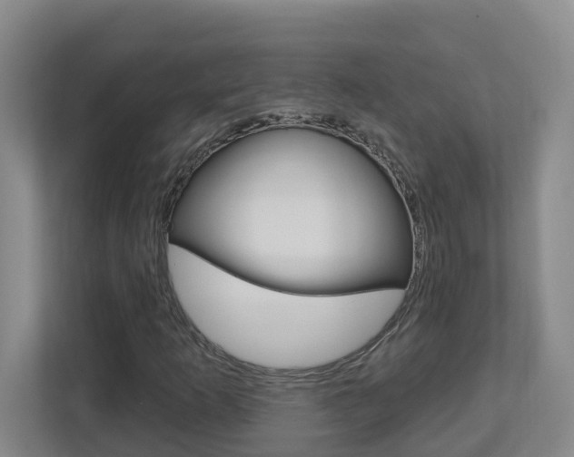 X0000112721253200908200939