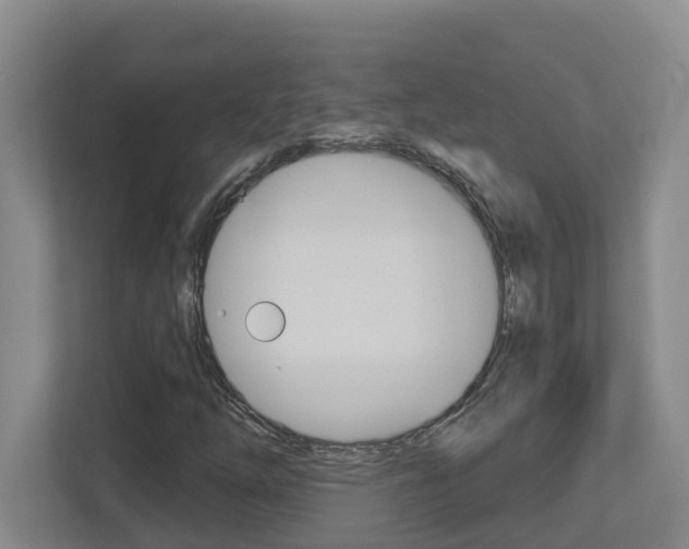 X0000112721254200908200939