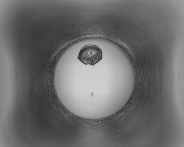 X0000112721255200908200939