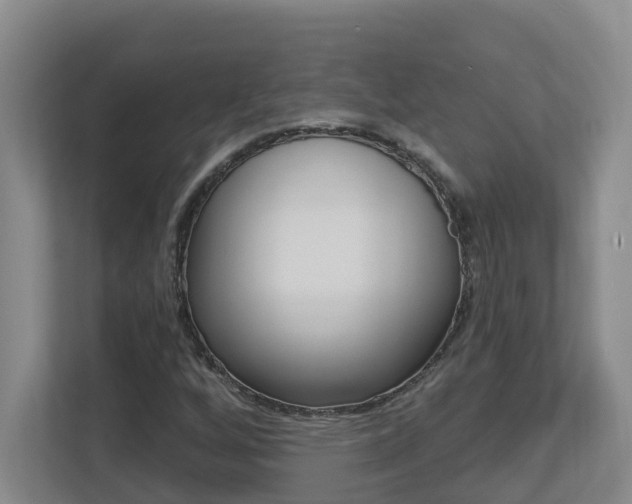 X0000112721256200908200939