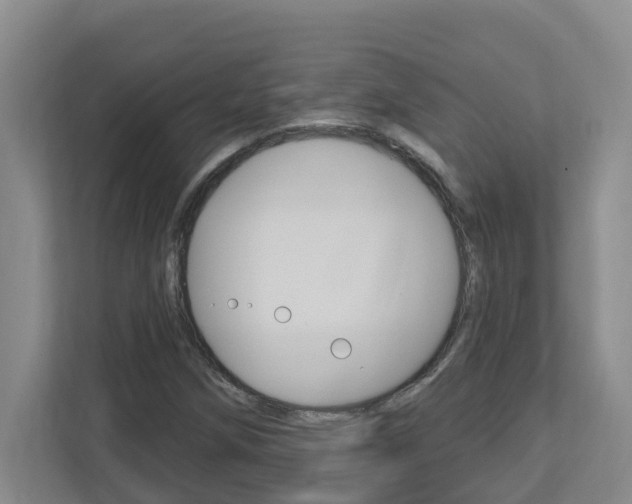 X0000112721258200908200939